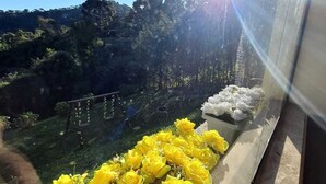 Un balcon orné de fleurs jaunes, offrant une vue sur une zone boisée.