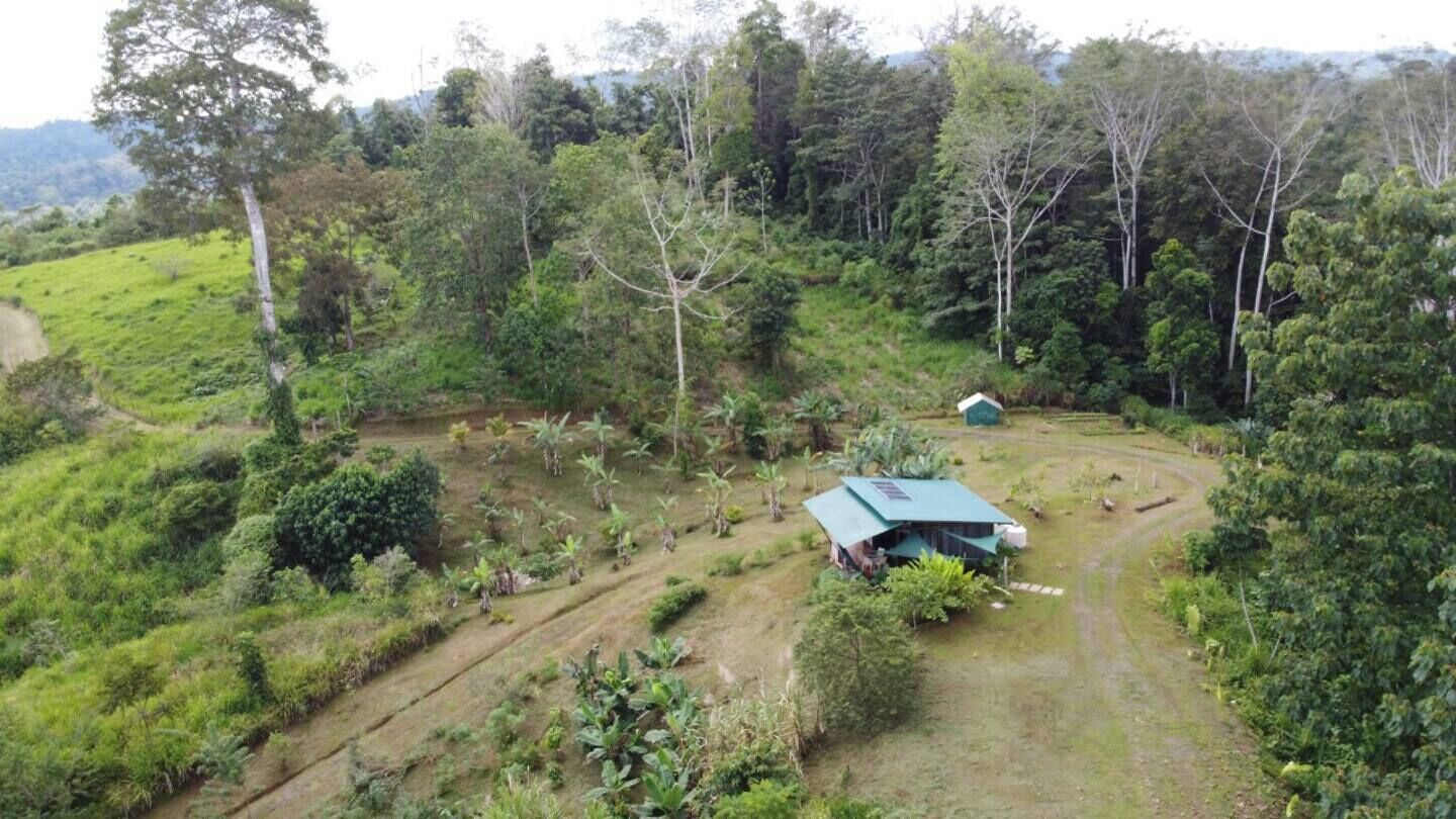 Une propriété rurale avec des champs en terrasses, un petit bâtiment doté d’un toit végétalisé et une forêt dense en arrière-plan.