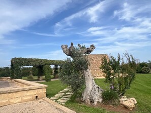 Parco della struttura