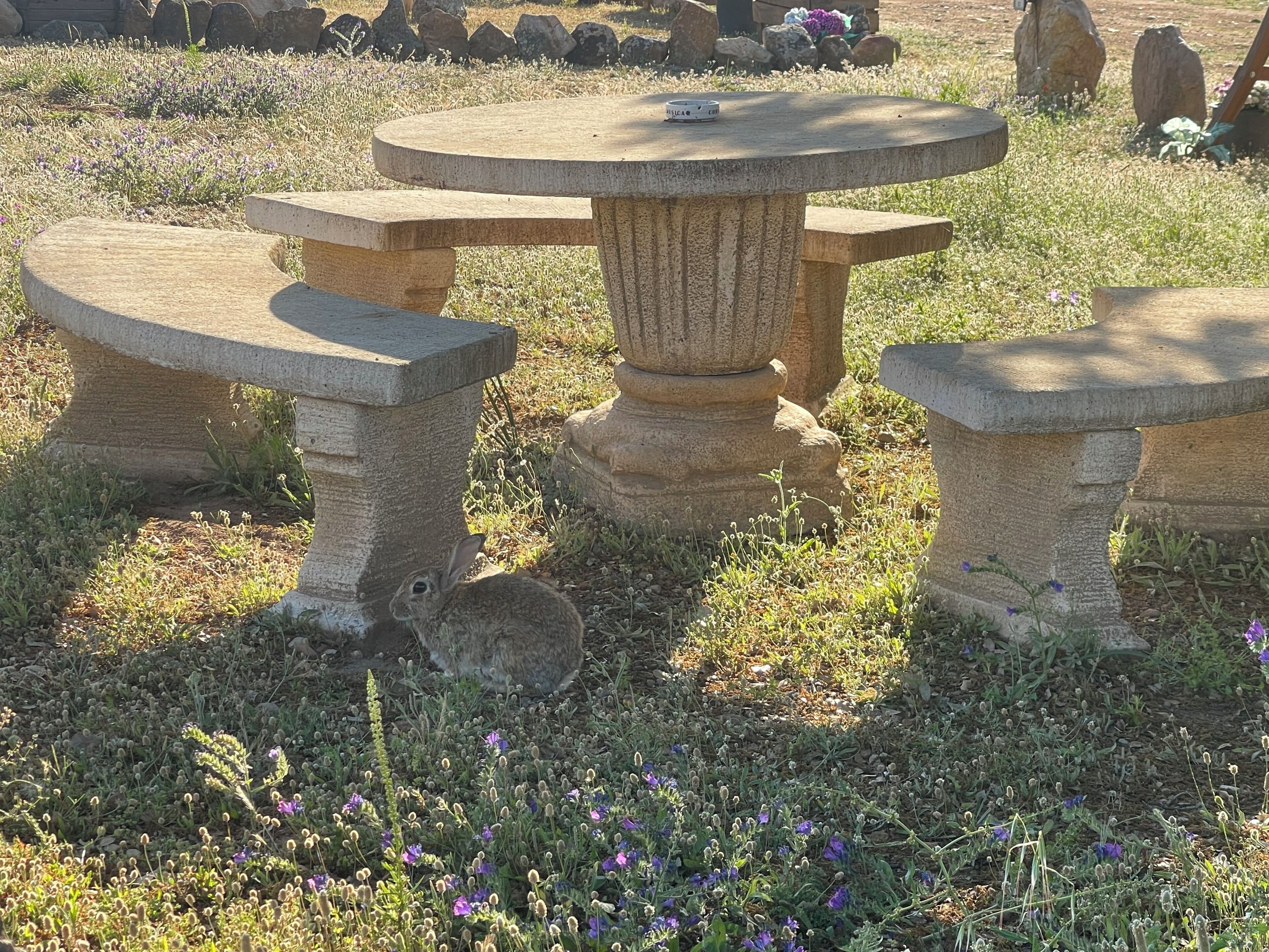 A stone outdoor table with benches in a garden setting.
