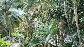 Deluxe Double Room, Garden View | Teres/patio