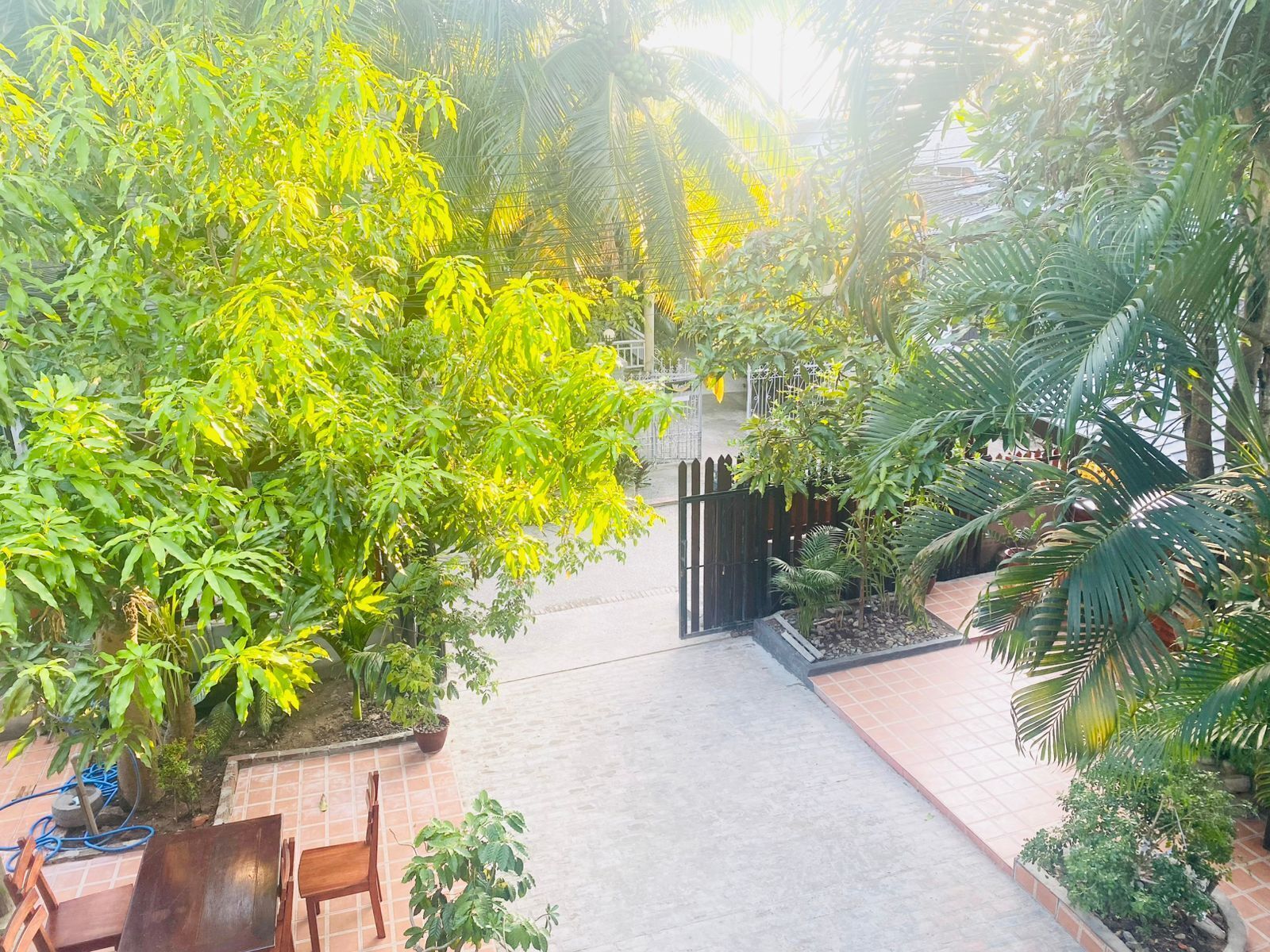 A courtyard with a tiled floor, surrounded by various green plants and trees.