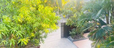 A courtyard with a tiled floor, surrounded by various green plants and trees.