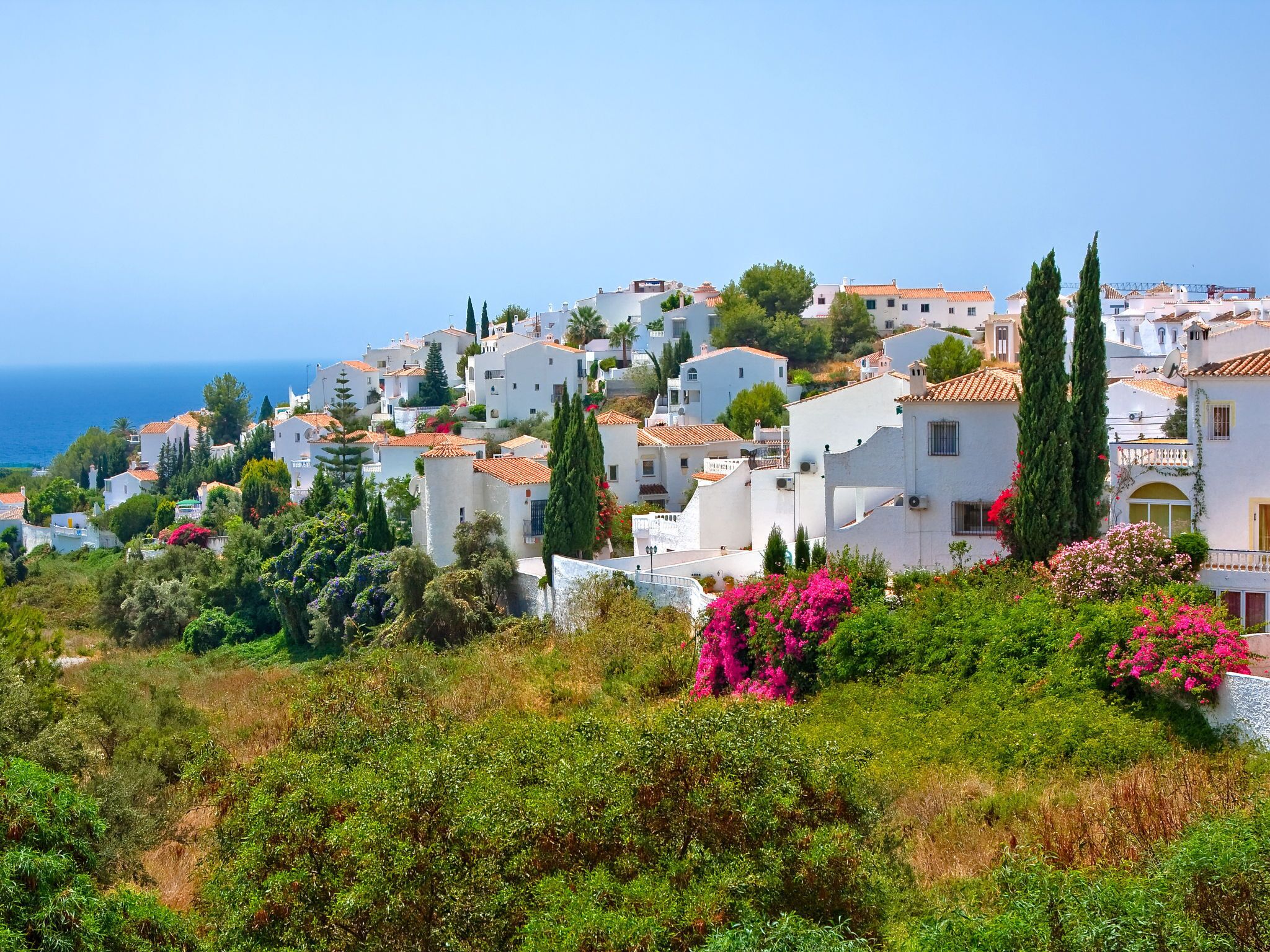 A coastal town with white buildings, green trees, and pink flowers.
