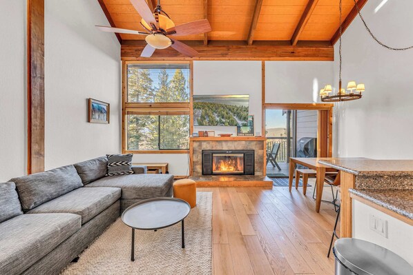 TV, fireplace, offices