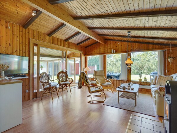 Televisión y chimenea 