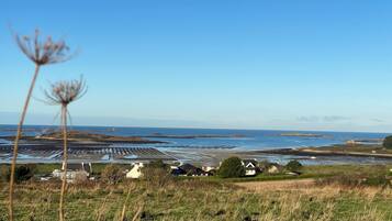 A coastal landscape with a clear sky, grassy fields, and a distant view of the sea.