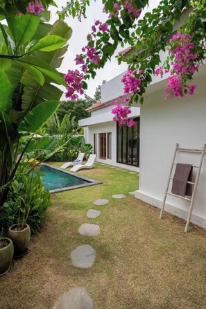 Ein modernes Haus mit Swimmingpool, einem Garten mit trittfesten Steinen und einer an der Wand angelehnten Leiter.