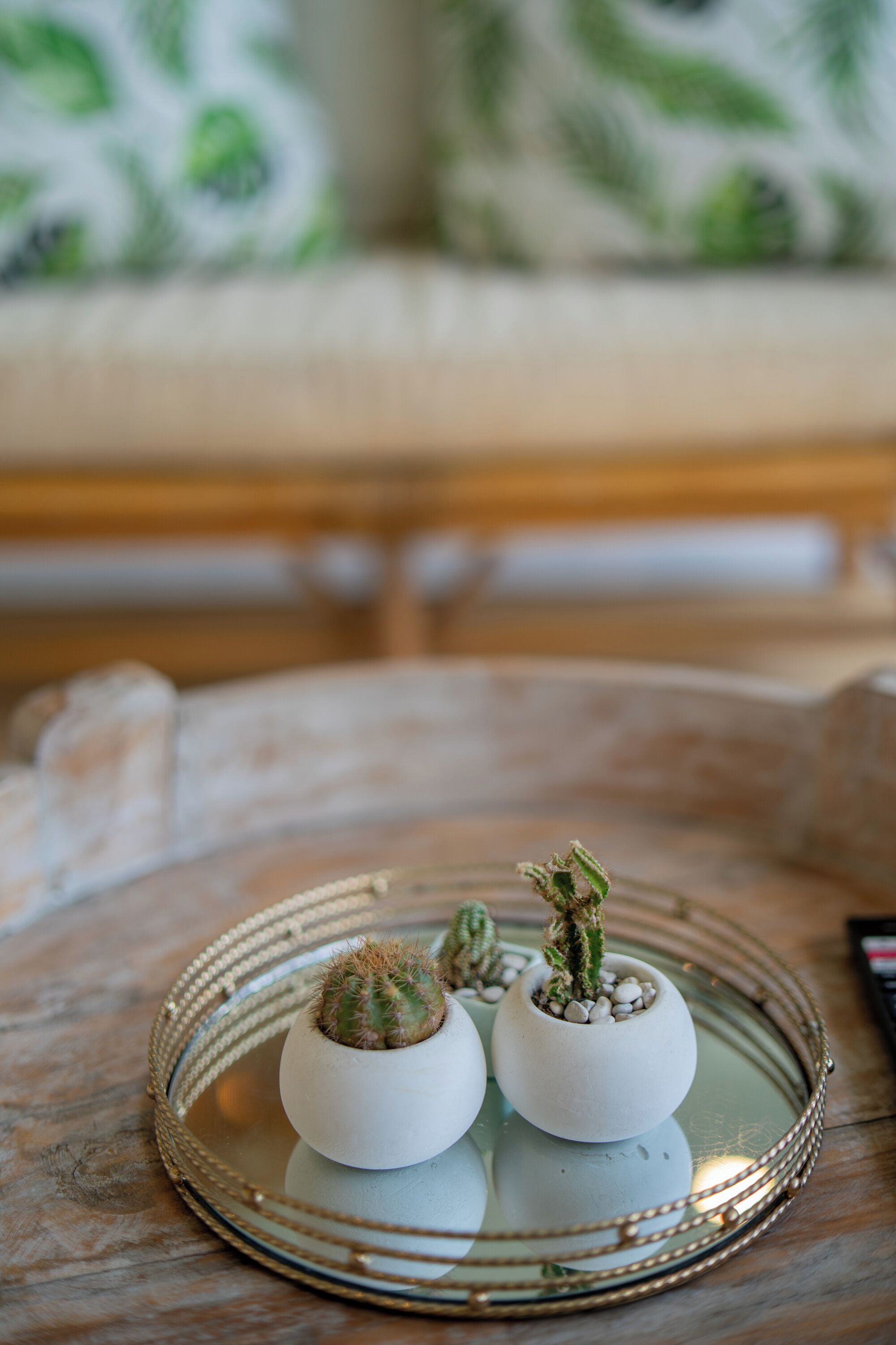 Una mesa redonda con tapa de vidrio, con tres pequeños cactus en macetas.