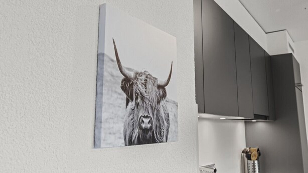 A modern kitchen with a large grey cabinet and a framed picture of a yak on the wall. - New apartment between plain and mountains (Saxon)