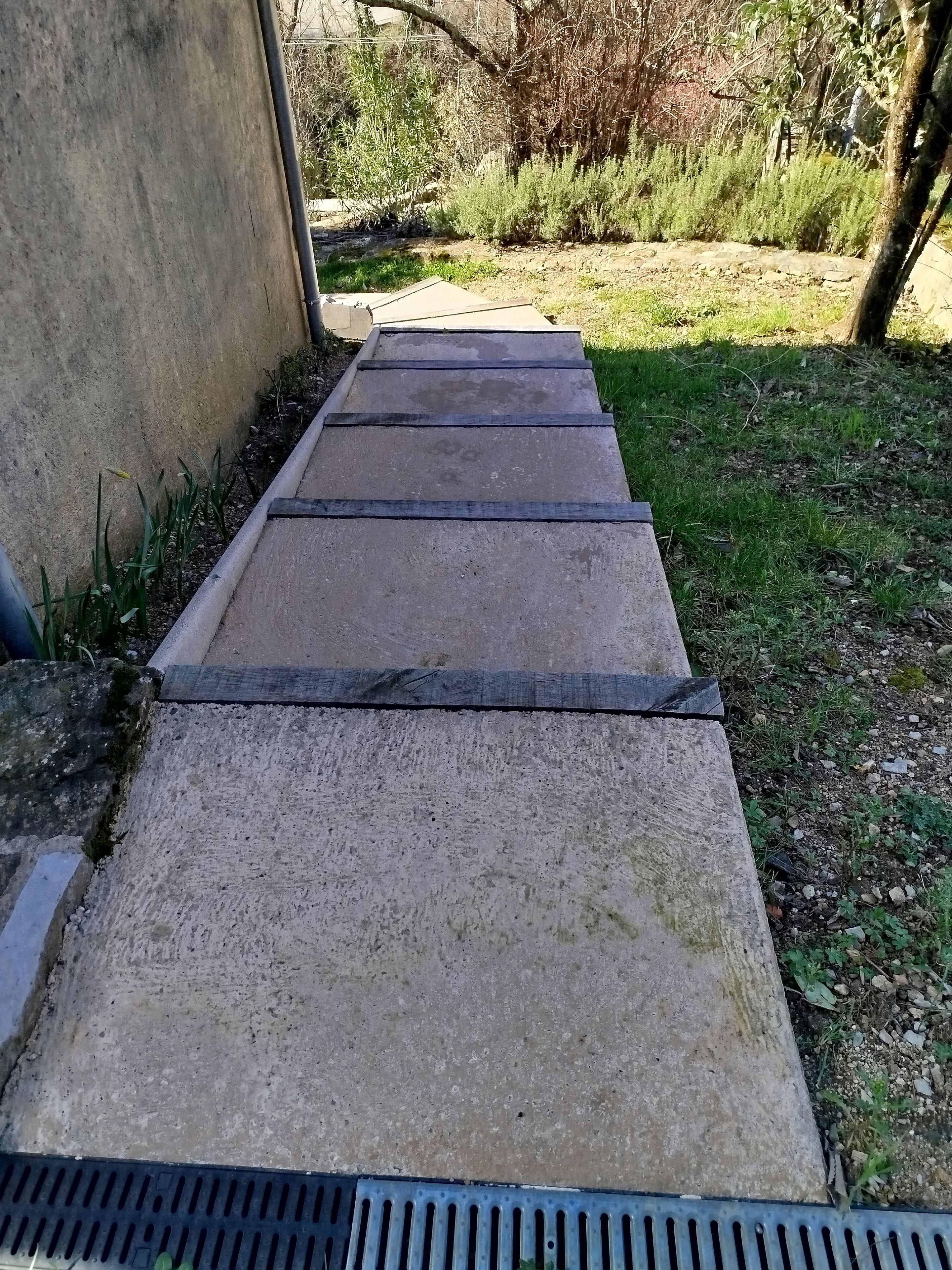 Un vialetto in cemento che conduce all'ingresso di un edificio, circondato da erba e alberi.