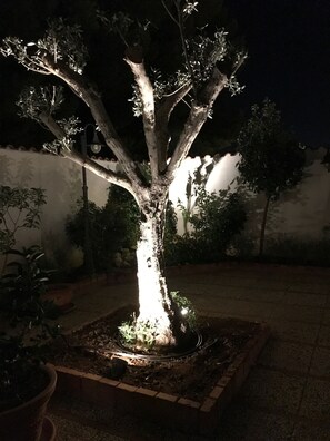 Property grounds - Vacation & House Imparato Vacanze Prestige Carini Costa Verde Mare - House Garden (Carini)