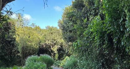 Sparrow Nest Cottage: Peaceful garden oasis hidden under the slopes of Mt Kenya.