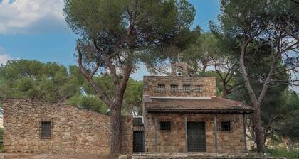 Ideal for FAMILIES up to 15 People in San Martín de Valdeiglesias Madrid