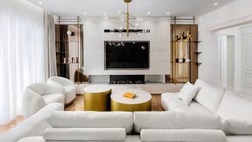 Smart TV, fireplace, books