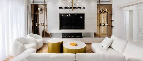 Smart TV, fireplace, books