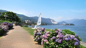 Un sendero pavimentado con una escultura y arbustos de hortensia a lo largo de la orilla de un lago.