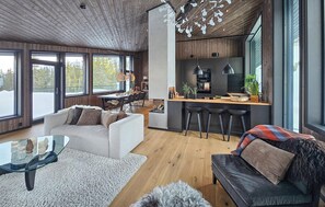Smart TV, fireplace - Awesome home in Rjukan with sauna (Rjukan)