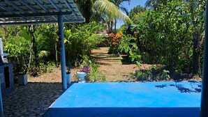 A blue pool with a pergola and tropical plants.
