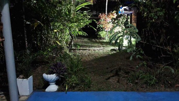 A garden pathway leading to a house with a mailbox and a white birdbath.