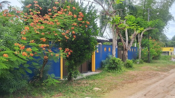 A residential area with a blue and yellow gate, lush greenery, and a dirt road.