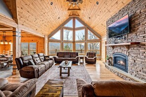 TV, fireplace, books