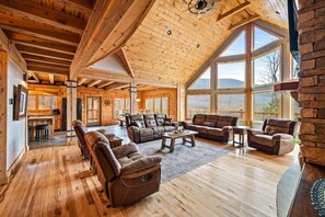 TV, fireplace, books