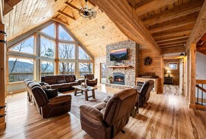 TV, fireplace, books