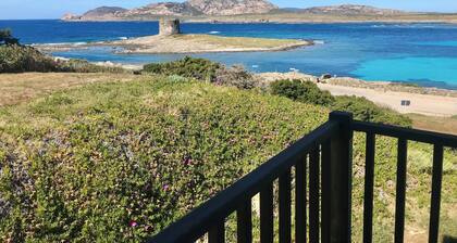 Hotel in Stintino 50 mt from the sea