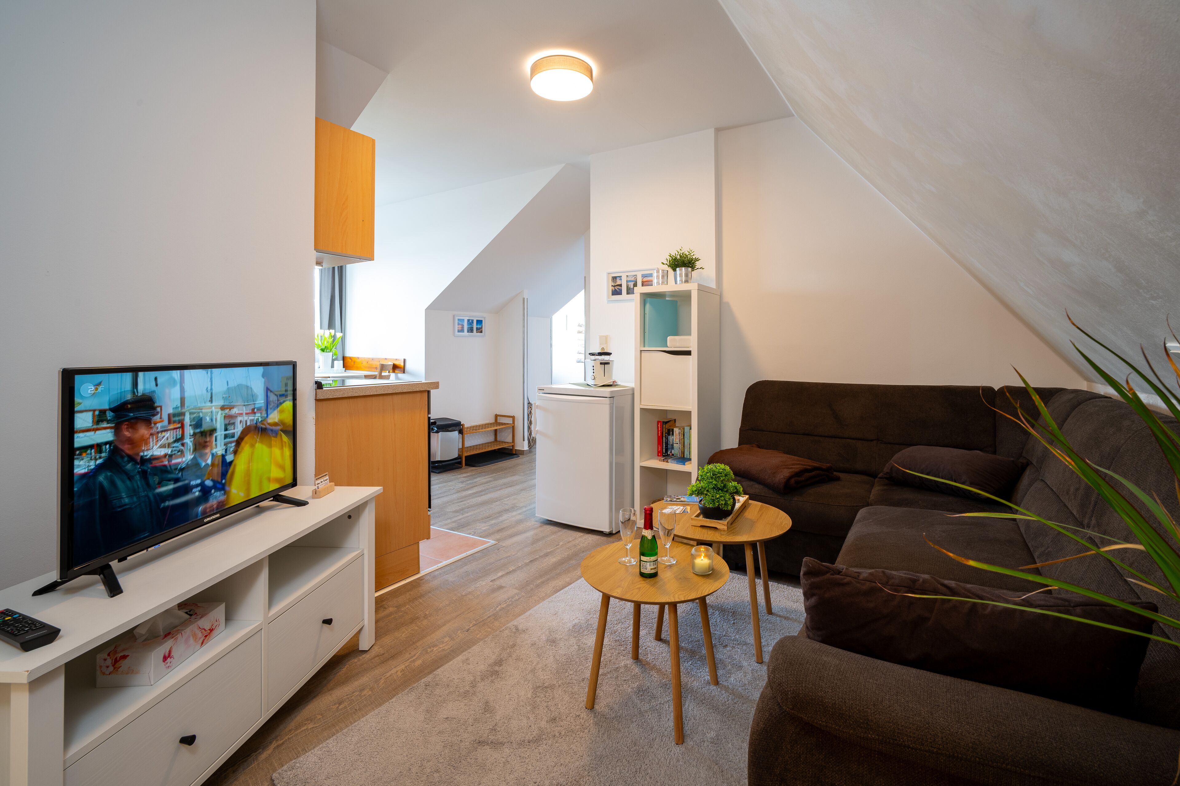 Fernseher, Bücher