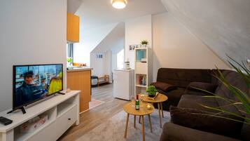 Fernseher, Bücher