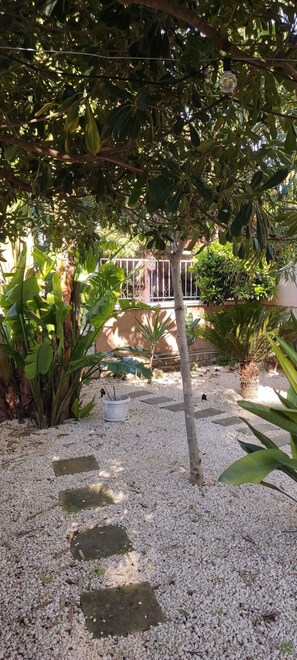 Property grounds - Maison Lido Silvana- spacious villa with large garden, minutes from the sea (Monti D'arena-bosco Caggione)