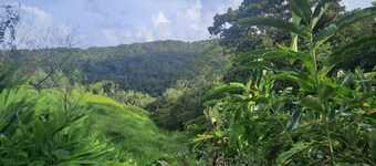 레 로즈 드 포르슬렌