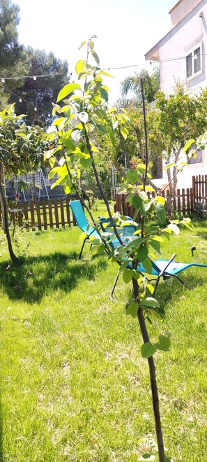 Property grounds - Maison Lido Silvana - deluxe villa a few steps from the sea (Monti D'arena-bosco Caggione)