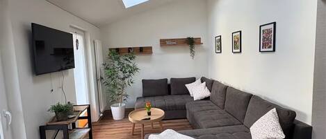 تلفزيون، مدفأة