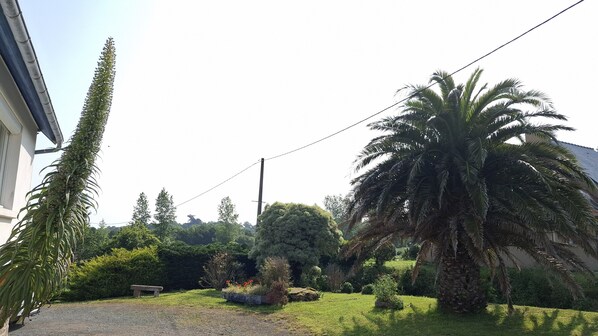 A well-maintained garden with a variety of plants and a palm tree, a bench, and a building in the background. - Charming house, serenity on the Pink Granite Coast (Pleumeur-Bodou)