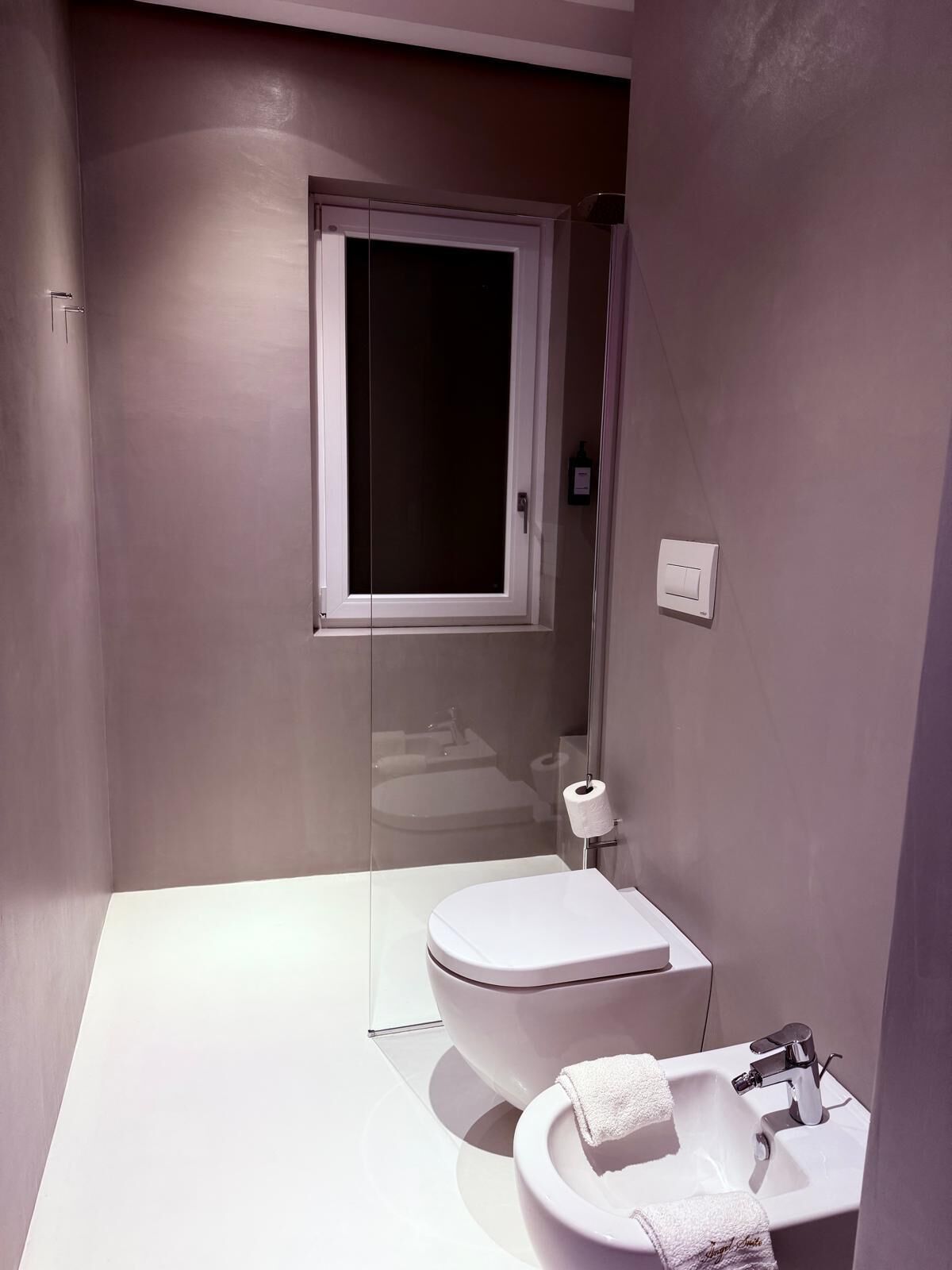 Regadera, secadora de cabello, bidet, toallas 
