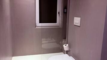 Regadera, secadora de cabello, bidet, toallas