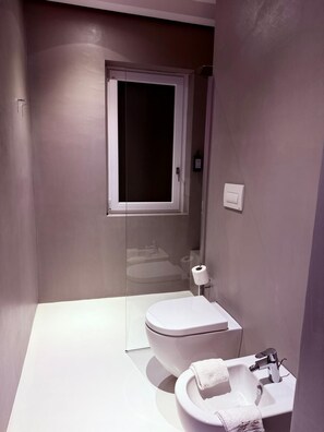 Shower, hair dryer, bidet, towels