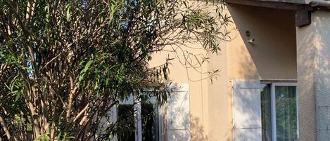 テラス / パティオ