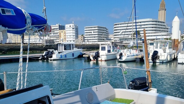 Un puerto deportivo con barcos amarrados, una zona de muelle con césped y edificios al fondo.