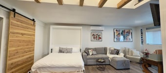Modern Loft Guest House- FamilyFriendly meets luxury. Within 30min of it all!