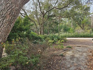 Property grounds - Cosgrove's Cove in tranquil Pine Knoll Shores very close to the beach. (Pine Knoll Shores)