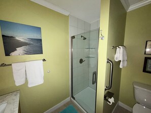 Hair dryer, towels, soap, toilet paper