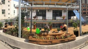 Une terrasse sur le toit, dotée d’un sol en bois, de plantes en pot et d’un espace salon abrité.