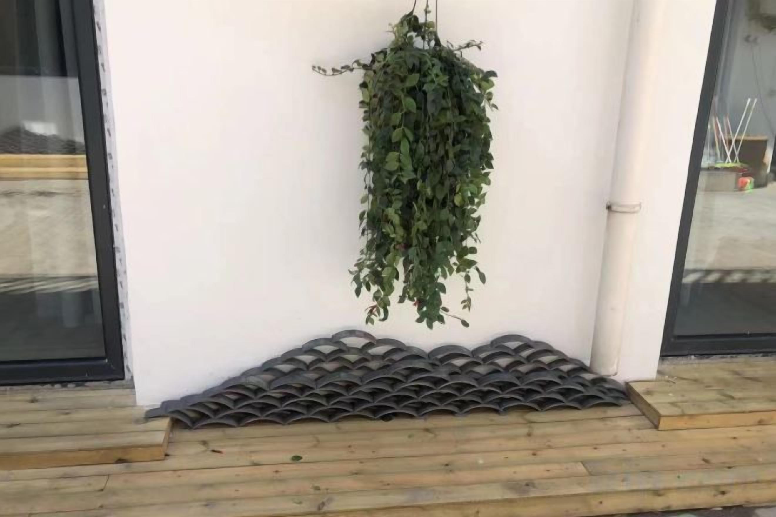 A hanging plant, a tiled ledge, and a wooden deck.