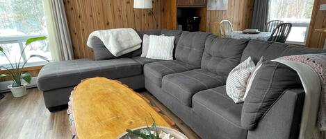 智能電視、壁爐、DVD 播放機、書籍