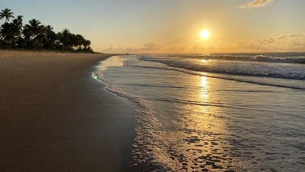 Een strand met een zonsondergang, palmbomen en golven.