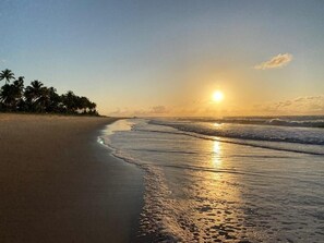 Camastros y toallas de playa