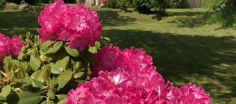 Traditional Breton Penty in the heart of Brittany...